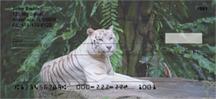 White Tigers