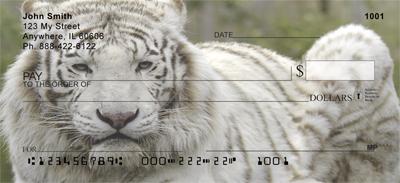 White Tigers