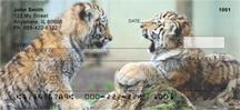 Rambunctious Tiger Cubs