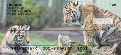 Rambunctious Tiger Cubs