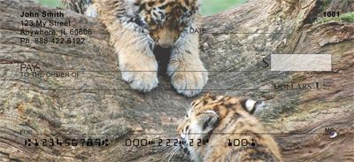 Rambunctious Tiger Cubs