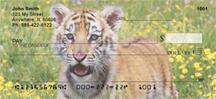 Tiger In The Grass