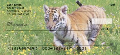 Tiger In The Grass