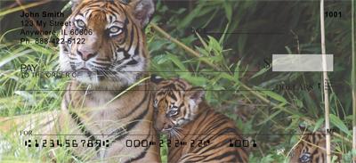 Tiger Family