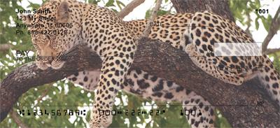 Leopard In Tree