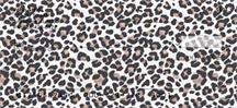 More Leopard Prints