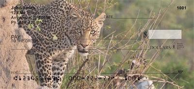 African Leopards