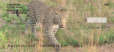 African Leopards