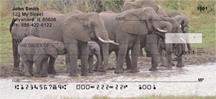 At The Water Hole