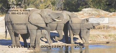 At The Water Hole