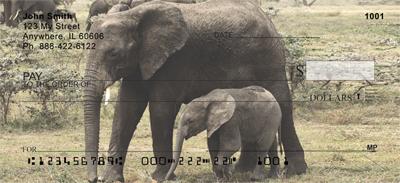 Elephant Calf and Mom