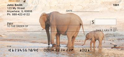 Elephant Calf and Mom