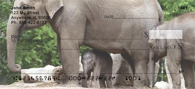 Elephant Calf and Mom