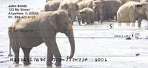 Elephants Cooling Off
