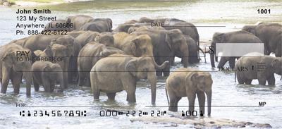 Elephants Cooling Off