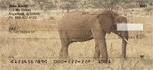Elephant Walking