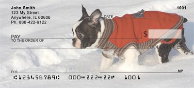 Boston Terriers In The Snow