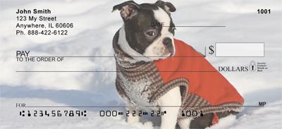 Boston Terriers In The Snow
