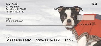 Boston Terriers In The Snow