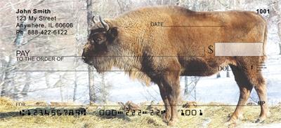 Bison In Winter