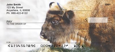 Bison In Winter