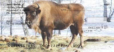 Bison In Winter