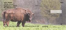 Bison In The Field