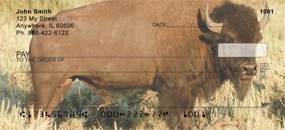 Bison In The Field