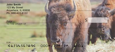 Bison In The Field