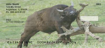 African Buffalo