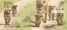 Lions In Training