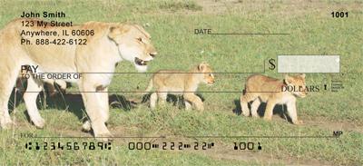 Lions In Training