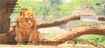 Resting Lions