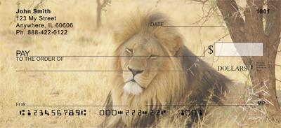 Resting Lions