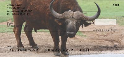 Cape Buffalo
