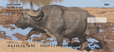Cape Buffalo