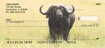 Grazing Buffalo