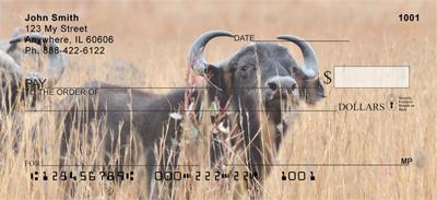 Grazing Buffalo