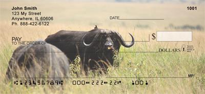 Grazing Buffalo