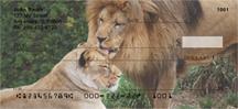 Lion Couples