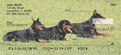 Resting Dobermans