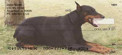 Resting Dobermans