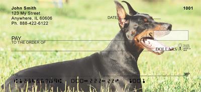 Resting Dobermans