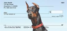 Curious Dobermans