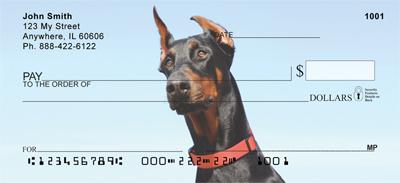 Curious Dobermans