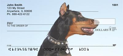 Curious Dobermans