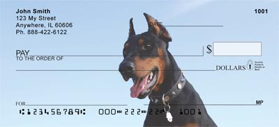 Curious Dobermans