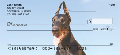 Curious Dobermans