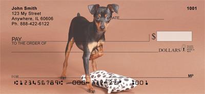 Doberman Puppies