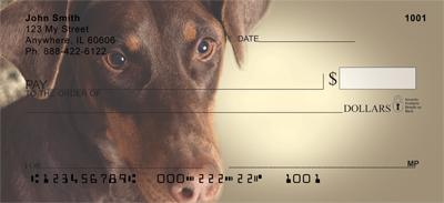 Doberman Puppies